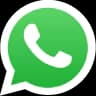 WhatsApp icon
